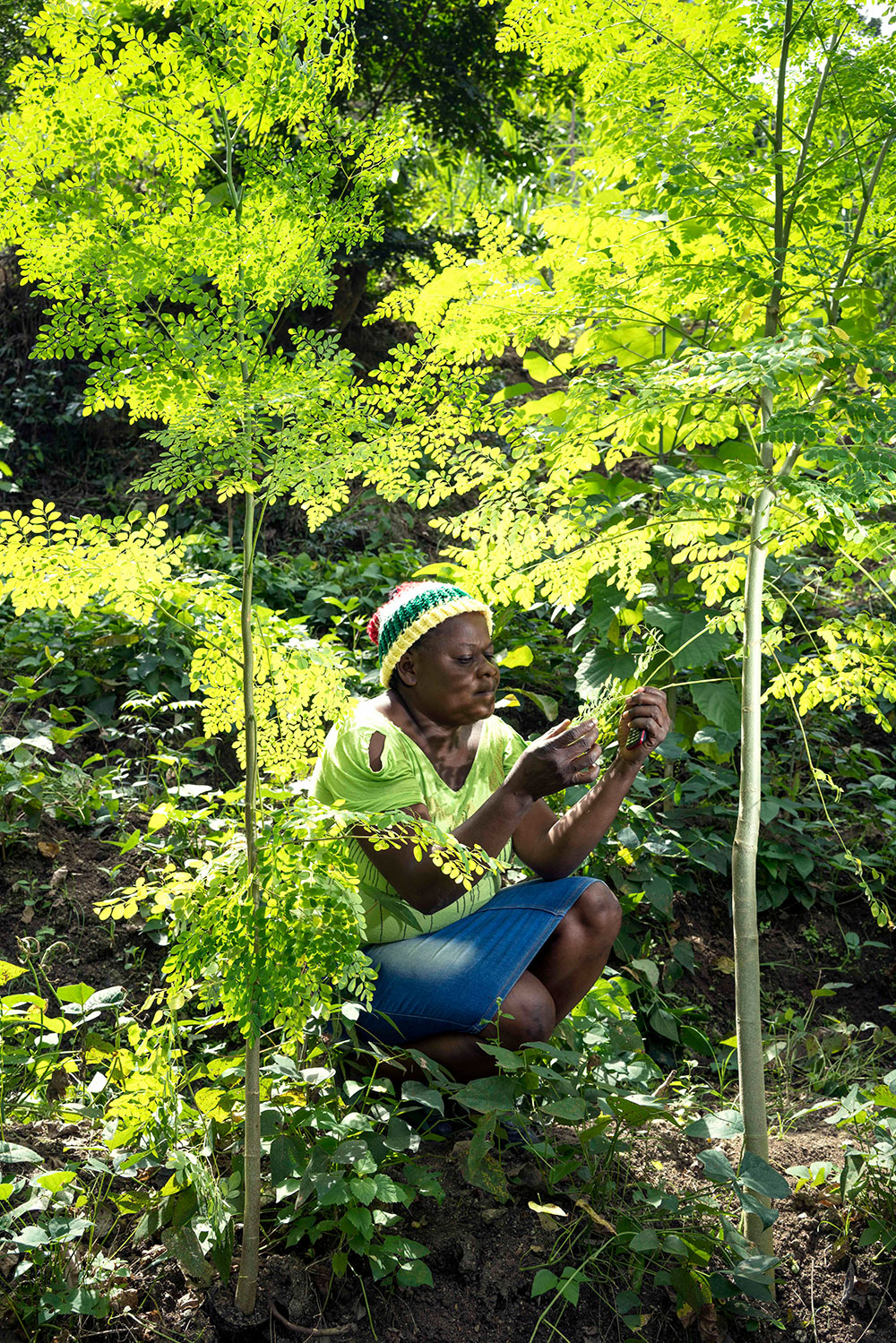 Bender pflanzt Bäume für eine nachhaltige Zukunft